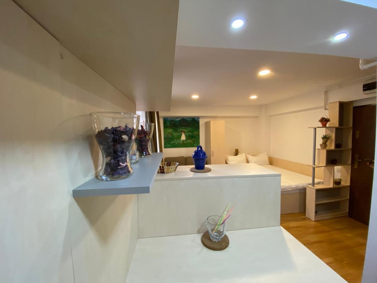 Sinaia Chic Minisuite Mirage-Self Check-In&Free Parking Exterior photo